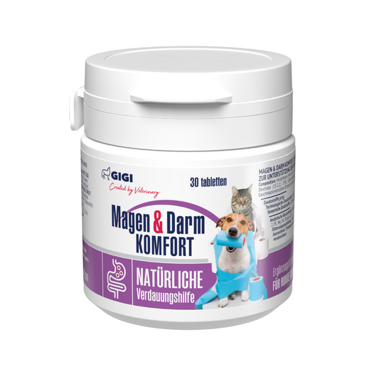 Magen & Darm Konfort N30