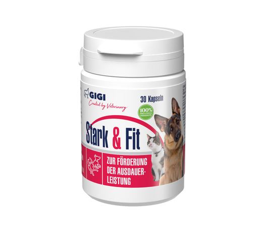 Stark & Fit N30
