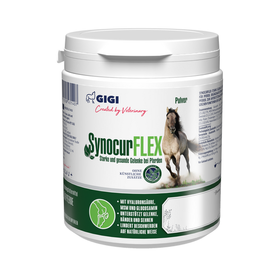 Synocur Flex Gelenke & Knochen 450g